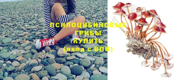 индика Алексин