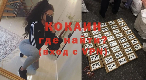 индика Алексин