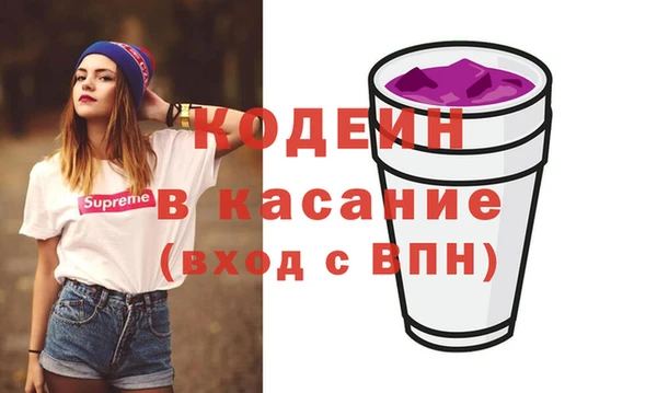 индика Алексин