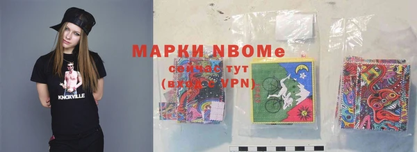 индика Алексин