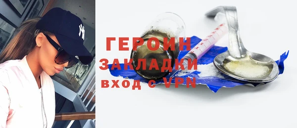 индика Алексин