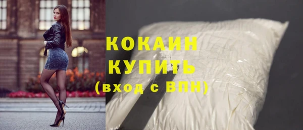 индика Алексин