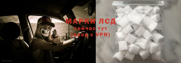 индика Алексин