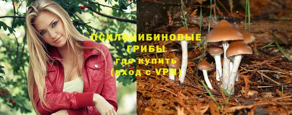 индика Алексин