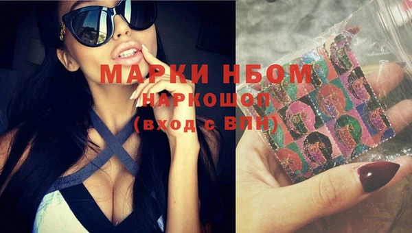 индика Алексин