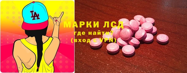 индика Алексин