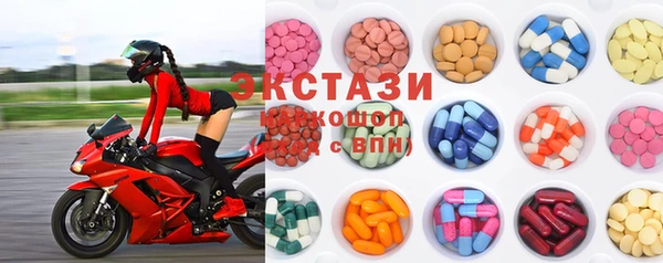 индика Алексин