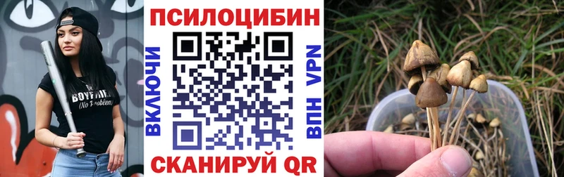 МЕГА ТОР  Котельники  дарк нет состав  закладки  Галлюциногенные грибы Psilocybe 